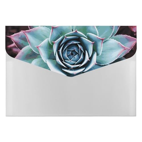 Dateiordner Kunststoff Ordner Sukkulenten Pflanze Gedruckt Dateiordner Brief Größe Tragbare Ordner Archivieren Organizer für Büro Dateiordner Kunststoff Ordner Sukkulenten Pflanze Gedruckt Dateiordner Brief Größe Tragbare Ordner Archivieren Organizer für Büro von FCTVSKLN