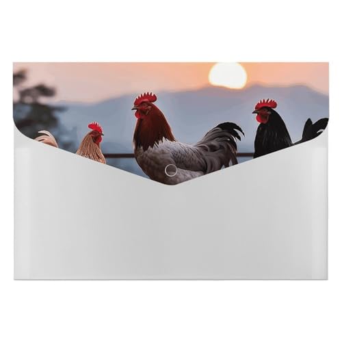 Dateiordner Kunststoff Ordner Tiere Hühner Gedruckt Dateiordner Brief Größe Tragbare Ordner Archivieren Organizer für Büro Dateiordner Kunststoff Ordner Tiere Hühner Gedruckt Dateiordner Brief Größe Tragbare Ordner Archivieren Organizer für Büro von FCTVSKLN