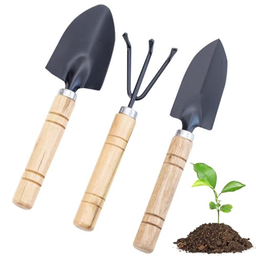 FDCGAS gartenschaufel klein - 3 Stück Gartenwerkzeug Set, Gartenschaufel, Klein Garten Schaufeln, Gartengeräte Schaufeln für Bonsai Werkzeug Pflanze Gemüse Anbauen Topfblumen FDCGAS gartenschaufel klein - 3 Stück Gartenwerkzeug Set, Gartenschaufel, Klein Garten Schaufeln, Gartengeräte Schaufeln für Bonsai Werkzeug Pflanze Gemüse Anbauen Topfblumen von FDCGAS
