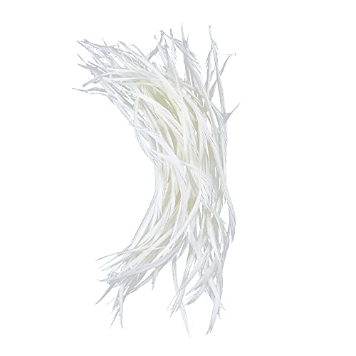 Fascinator Federn Stripped Gans Biot Millinery Hüte Trimmings 100 Stück (weiß) von FEARAFTS