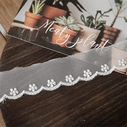 DIY Nähverfahren, Dekoration von Aufklebern, 3 cm Vintage-Besatz, florale Stickerei, Stoffbesatz, Band, Gurtband, bestickte Applikation for Kleidungszubehör und rustikale(Silver,10 Yards) von FEIAOPE