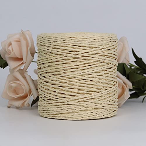 100 g Bastgarn Papierstrohgarn zum Häkeln Hut ausgefallenes Garn Blumen Verpackung Sommer Mode handgemachtes Material von FEIZAI