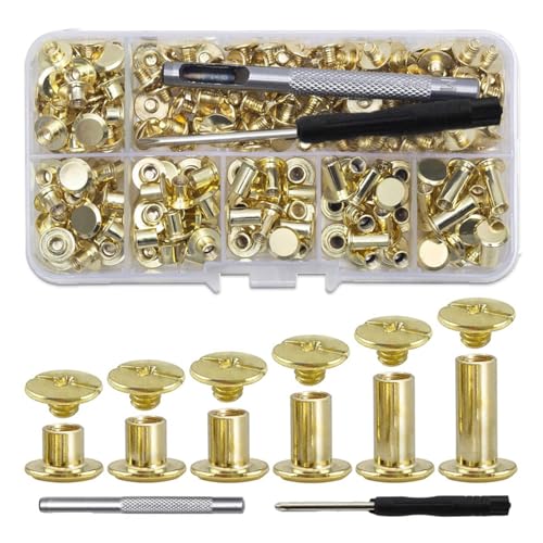 Buchschrauben Metall Gürtelschrauben Kreuzkopf Schraube für Hundeleine Buchschraube 4mm Chicago Buchschrauben Golden Chicago Schrauben mit Schraubendreher für DIY-Bücher, Scrapbooking 110 Set Buchschrauben Metall Gürtelschrauben Kreuzkopf Schraube für Hundeleine Buchschraube 4mm Chicago Buchschrauben Golden Chicago Schrauben mit Schraubendreher für DIY-Bücher, Scrapbooking 110 Set von FENGQQKJ