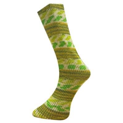 Ferner Wolle Mally Socks 6-fach Merino 2022 549-22 von FERNER WOLLE