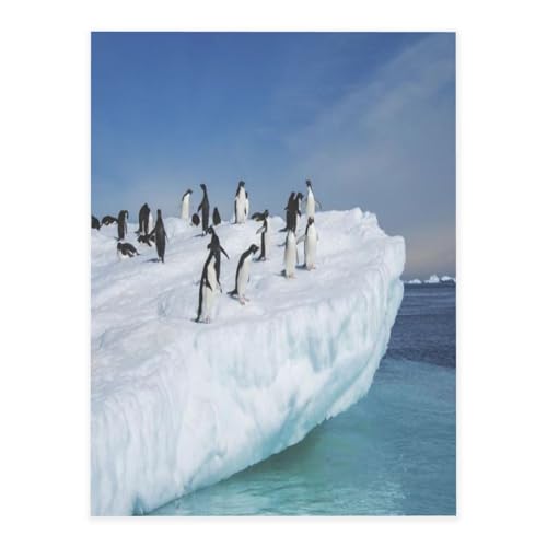 Dekorative selbstklebende Vinylbögen für glatte Oberflächen, Pinguin-Kristallaufkleber, transparente wasserdichte Aufkleber für Heimdekoration, Peel Stick Tapete für Schränke, Arbeitsplatten, Schränke Dekorative selbstklebende Vinylbögen für glatte Oberflächen, Pinguin-Kristallaufkleber, transparente wasserdichte Aufkleber für Heimdekoration, Peel Stick Tapete für Schränke, Arbeitsplatten, Schränke von FEYUNYAN