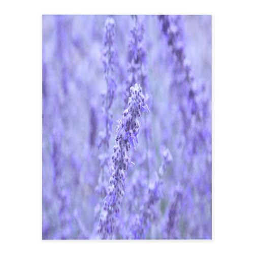 Dekorative selbstklebende Vinylbögen für glatte Oberflächen, lila Lavendelblüten, Kristallaufkleber, wasserdichte Aufkleber für Heimdekoration, Abzieh-Stick-Tapete für Schränke, Arbeitsplatten Dekorative selbstklebende Vinylbögen für glatte Oberflächen, lila Lavendelblüten, Kristallaufkleber, wasserdichte Aufkleber für Heimdekoration, Abzieh-Stick-Tapete für Schränke, Arbeitsplatten von FEYUNYAN