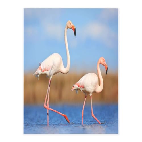 Dekorative selbstklebende Vinylbögen für glatte Oberflächen, rosa Flamingo-Wasserkristall-Aufkleber, transparente wasserdichte Aufkleber für Heimdekoration, Abzieh-Stick-Tapete für Schränke Dekorative selbstklebende Vinylbögen für glatte Oberflächen, rosa Flamingo-Wasserkristall-Aufkleber, transparente wasserdichte Aufkleber für Heimdekoration, Abzieh-Stick-Tapete für Schränke von FEYUNYAN