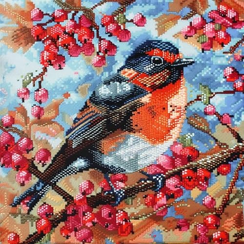 FFDONGTEGO Kissen Sticken Set Kreuzstich Vogel Kreuzstich Set für Anfänger 11ct DIY Dekokissen Mit Stickgarn Sofakissen Mit Reißverschluss für Sofa Schlafzimmer 45X45cm FFDONGTEGO Kissen Sticken Set Kreuzstich Vogel Kreuzstich Set für Anfänger 11ct DIY Dekokissen Mit Stickgarn Sofakissen Mit Reißverschluss für Sofa Schlafzimmer 45X45cm von FFDONGTEGO