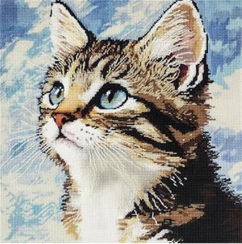 FFDONGTEGO Knüpfhaken Set Kissen Katze Knüpfkissen Set mit Vordruck 43X43cm 3D Stickset Kissenbezug Couchkissen Sofakissen Handarbeiten für Wohnzimmer Schlafzimmer FFDONGTEGO Knüpfhaken Set Kissen Katze Knüpfkissen Set mit Vordruck 43X43cm 3D Stickset Kissenbezug Couchkissen Sofakissen Handarbeiten für Wohnzimmer Schlafzimmer von FFDONGTEGO