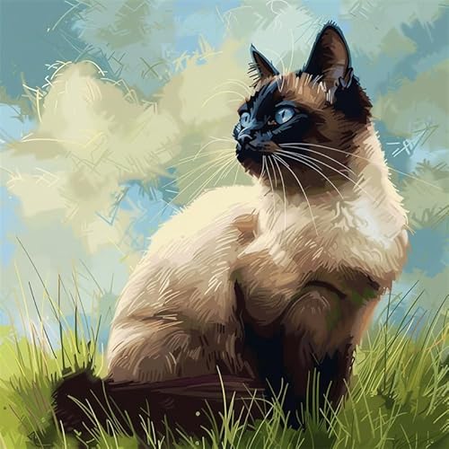 FFDONGTEGO Knüpfkissen Zum Selber Knüpfen Katze Knüpfen Set Erwachsene Kissen 43X43cm 3D Stickset Kissenbezug Couchkissen Sofakissen Handarbeiten für Wohnzimmer Schlafzimmer FFDONGTEGO Knüpfkissen Zum Selber Knüpfen Katze Knüpfen Set Erwachsene Kissen 43X43cm 3D Stickset Kissenbezug Couchkissen Sofakissen Handarbeiten für Wohnzimmer Schlafzimmer von FFDONGTEGO