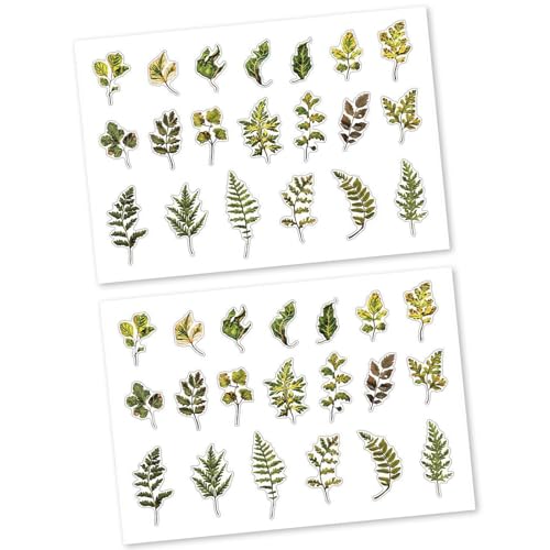 Pflanzenblatt Themenaufkleber Adheisve Haustier Für Scrapbooking Journal Planer Phone Case Foto Album Pflanzenblatt Themenaufkleber Adheisve Haustier Für Scrapbooking Journal Planer Phone Case Foto Album von FGDTREE