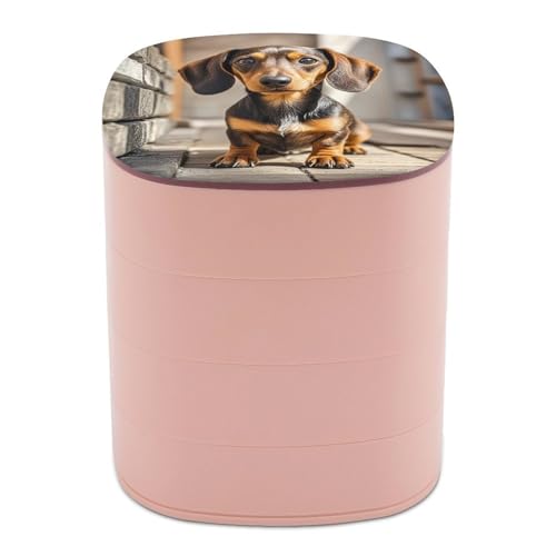 FHECVBN Drehbare Schmuckschatulle, Schmuck-Organizer, Dackel, Hund, kleine Schmuck-Aufbewahrungsbox mit Deckel, Reise-Schmucktablett für Ringe, Armbänder, Ohrringe, Halsketten FHECVBN Drehbare Schmuckschatulle, Schmuck-Organizer, Dackel, Hund, kleine Schmuck-Aufbewahrungsbox mit Deckel, Reise-Schmucktablett für Ringe, Armbänder, Ohrringe, Halsketten von FHECVBN