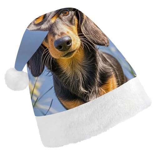 FHECVBN Weihnachtsmütze für Erwachsene, Dackel, bedruckt, Weihnachtsmannmütze, Weihnachtsmütze für Uni, Neujahr, festliche Party FHECVBN Weihnachtsmütze für Erwachsene, Dackel, bedruckt, Weihnachtsmannmütze, Weihnachtsmütze für Uni, Neujahr, festliche Party von FHECVBN