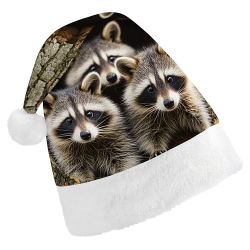 FHECVBN Weihnachtsmütze für Erwachsene, Waschbären im Baumloch, bedruckt, Weihnachtsmannmütze, Weihnachtsmütze für Uni, Neujahr, festliche Party FHECVBN Weihnachtsmütze für Erwachsene, Waschbären im Baumloch, bedruckt, Weihnachtsmannmütze, Weihnachtsmütze für Uni, Neujahr, festliche Party von FHECVBN