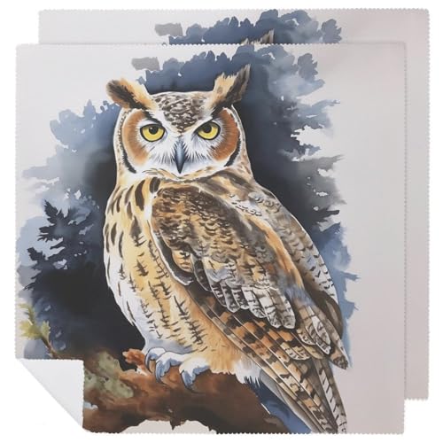 Stoffservietten, saugfähig, 2 Stück, waschbare Servietten, Eule, dekorative Stoffserviette, Tischzubehör für Partys, Hochzeiten, Cocktails Stoffservietten, saugfähig, 2 Stück, waschbare Servietten, Eule, dekorative Stoffserviette, Tischzubehör für Partys, Hochzeiten, Cocktails von FHECVBN