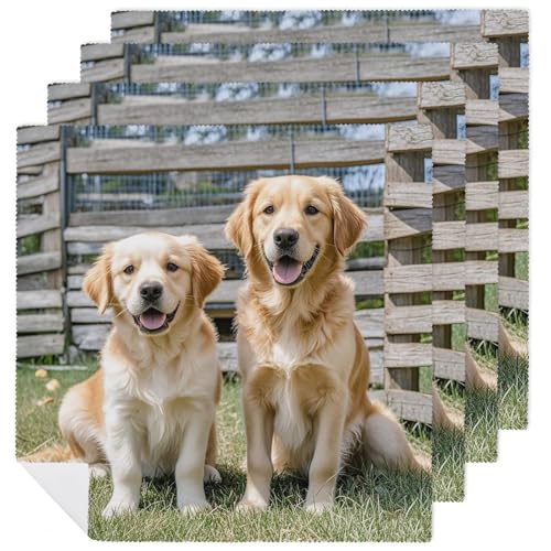 Stoffservietten, saugfähig, 4 Stück, waschbare Servietten, Golden Retriever, Hunde, Welpen, Haustiere, dekorative Stoffserviette, Tischzubehör für Partys, Hochzeiten, Cocktails Stoffservietten, saugfähig, 4 Stück, waschbare Servietten, Golden Retriever, Hunde, Welpen, Haustiere, dekorative Stoffserviette, Tischzubehör für Partys, Hochzeiten, Cocktails von FHECVBN