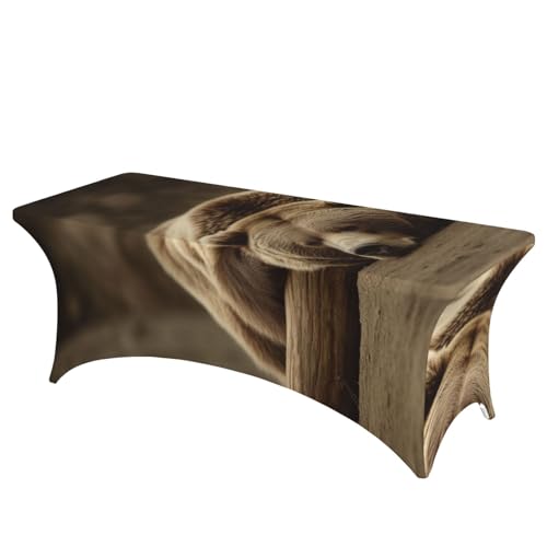 FHEDVBN Stretch-Spandex-Tischdecke, Bären-Schlaf-Tischdecke für rechteckige Passform, dekorative Tischdecke, für drinnen und draußen, waschbar, Tischdecke für Veranstaltungen, Hochzeiten, Partys FHEDVBN Stretch-Spandex-Tischdecke, Bären-Schlaf-Tischdecke für rechteckige Passform, dekorative Tischdecke, für drinnen und draußen, waschbar, Tischdecke für Veranstaltungen, Hochzeiten, Partys von FHEDVBN