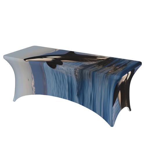 FHEDVBN Stretch-Spandex-Tischdecke, Killer-Wal-Tischdecke für rechteckige Passform, dekorative Tischdecke, für drinnen und draußen, waschbar, Tischdecke für Veranstaltungen, Hochzeiten, Partys FHEDVBN Stretch-Spandex-Tischdecke, Killer-Wal-Tischdecke für rechteckige Passform, dekorative Tischdecke, für drinnen und draußen, waschbar, Tischdecke für Veranstaltungen, Hochzeiten, Partys von FHEDVBN