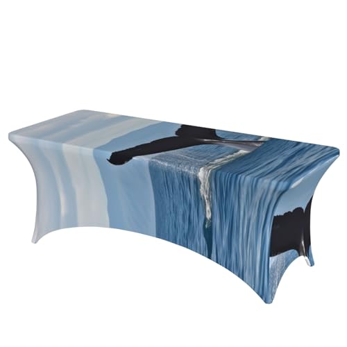 FHEDVBN Stretch-Spandex-Tischdecke, Walschwanz-Tischdecke für rechteckige Passform, dekorative Tischdecke, für drinnen und draußen, waschbar, Tischdecke für Veranstaltungen, Hochzeiten, Partys FHEDVBN Stretch-Spandex-Tischdecke, Walschwanz-Tischdecke für rechteckige Passform, dekorative Tischdecke, für drinnen und draußen, waschbar, Tischdecke für Veranstaltungen, Hochzeiten, Partys von FHEDVBN