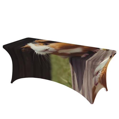 FHEDVBN Stretch-Spandex-Tischdecke, lächelnde Tischdecke für rechteckige Passform, dekorative Tischdecke, für drinnen und draußen, waschbar, Tischdecke für Veranstaltungen, Hochzeiten, Partys FHEDVBN Stretch-Spandex-Tischdecke, lächelnde Tischdecke für rechteckige Passform, dekorative Tischdecke, für drinnen und draußen, waschbar, Tischdecke für Veranstaltungen, Hochzeiten, Partys von FHEDVBN