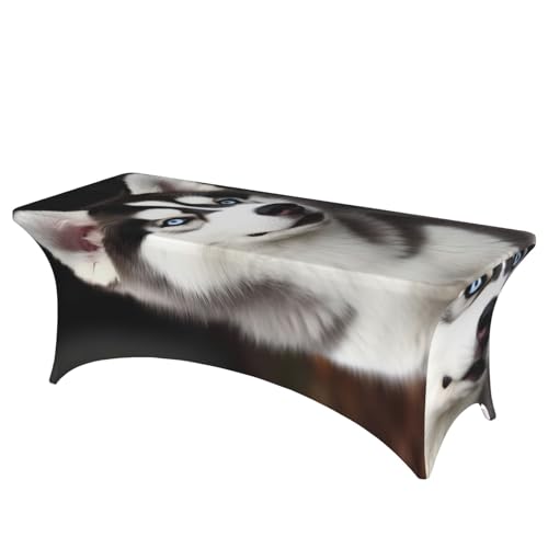 FHEDVBN Stretch-Spandex-Tischdecke, niedlicher Husky-Hund, Tischdecke für rechteckige Passform, dekorative Tischdecke, für drinnen und draußen, waschbar, Tischdecke für Veranstaltungen, Hochzeiten FHEDVBN Stretch-Spandex-Tischdecke, niedlicher Husky-Hund, Tischdecke für rechteckige Passform, dekorative Tischdecke, für drinnen und draußen, waschbar, Tischdecke für Veranstaltungen, Hochzeiten von FHEDVBN