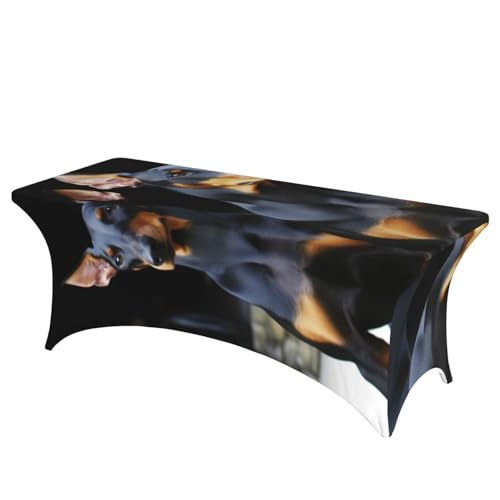 FHEDVBN Stretch-Tischdecke aus Spandex, Dobermann-Tischdecke für rechteckige Passform, dekorative Tischdecke, für drinnen und draußen, waschbar, für Veranstaltungen, Hochzeiten, Partys FHEDVBN Stretch-Tischdecke aus Spandex, Dobermann-Tischdecke für rechteckige Passform, dekorative Tischdecke, für drinnen und draußen, waschbar, für Veranstaltungen, Hochzeiten, Partys von FHEDVBN