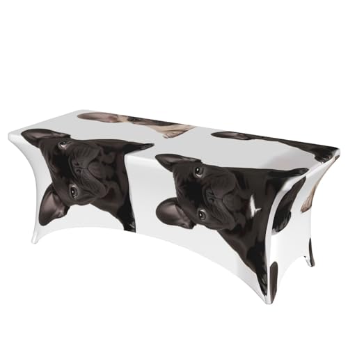 FHEDVBN Tischdecke aus Stretch-Elastan, französische Bulldogge, rechteckig, dekorative Tischdecke, für drinnen und draußen, waschbar, für Veranstaltungen, Hochzeiten, Partys FHEDVBN Tischdecke aus Stretch-Elastan, französische Bulldogge, rechteckig, dekorative Tischdecke, für drinnen und draußen, waschbar, für Veranstaltungen, Hochzeiten, Partys von FHEDVBN