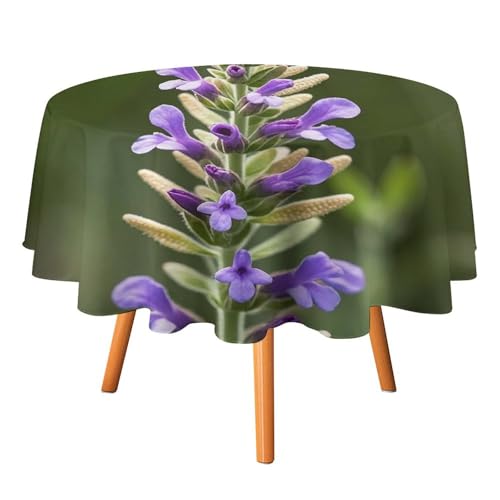 FHESDCW Ästhetische Salbei-Tischdecke, hitzebeständig, Polyester, rund, strapazierfähig, waschbar, Tischdecke für Küche, Party, Hochzeit, Picknick, 127 x 127 cm, Beige FHESDCW Ästhetische Salbei-Tischdecke, hitzebeständig, Polyester, rund, strapazierfähig, waschbar, Tischdecke für Küche, Party, Hochzeit, Picknick, 127 x 127 cm, Beige von FHESDCW