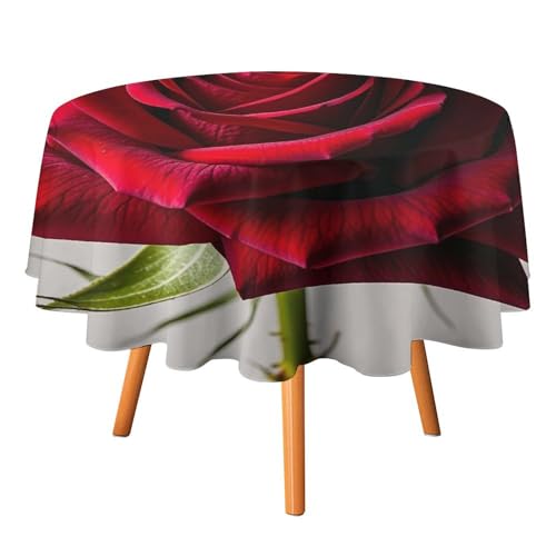 FHESDCW Elegante rote Rosen-Tischdecke, hitzebeständig, Polyester, rund, strapazierfähig, waschbar, Tischdecke für Küche, Party, Hochzeit, Picknick, 91,4 x 91,4 cm FHESDCW Elegante rote Rosen-Tischdecke, hitzebeständig, Polyester, rund, strapazierfähig, waschbar, Tischdecke für Küche, Party, Hochzeit, Picknick, 91,4 x 91,4 cm von FHESDCW