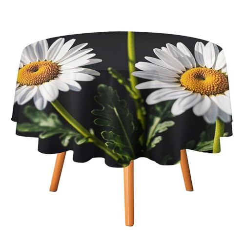 FHESDCW Gänseblümchen-Tischdecke, hitzebeständig, Polyester, rund, langlebig, waschbar, Tischdecke für Küche, Party, Hochzeit, Picknick, 127 x 127 cm FHESDCW Gänseblümchen-Tischdecke, hitzebeständig, Polyester, rund, langlebig, waschbar, Tischdecke für Küche, Party, Hochzeit, Picknick, 127 x 127 cm von FHESDCW