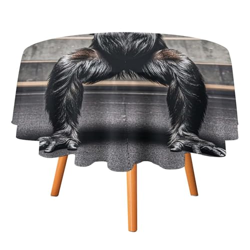 FHESDCW Gorillas in Fitness-Tischdecke, hitzebeständig, Polyester, rund, strapazierfähig, waschbar, Tischdecke für Küche, Party, Hochzeit, Picknick, 91,4 x 91,4 cm FHESDCW Gorillas in Fitness-Tischdecke, hitzebeständig, Polyester, rund, strapazierfähig, waschbar, Tischdecke für Küche, Party, Hochzeit, Picknick, 91,4 x 91,4 cm von FHESDCW