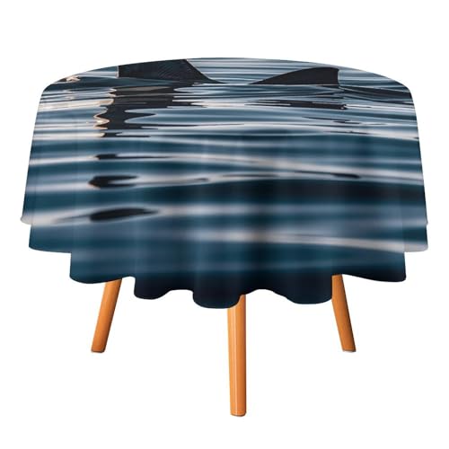 FHESDCW Haifischflossen-Wasser-Tischdecke, hitzebeständig, Polyester, rund, strapazierfähig, waschbar, Tischdecke für Küche, Party, Hochzeit, Picknick, 127 x 127 cm FHESDCW Haifischflossen-Wasser-Tischdecke, hitzebeständig, Polyester, rund, strapazierfähig, waschbar, Tischdecke für Küche, Party, Hochzeit, Picknick, 127 x 127 cm von FHESDCW