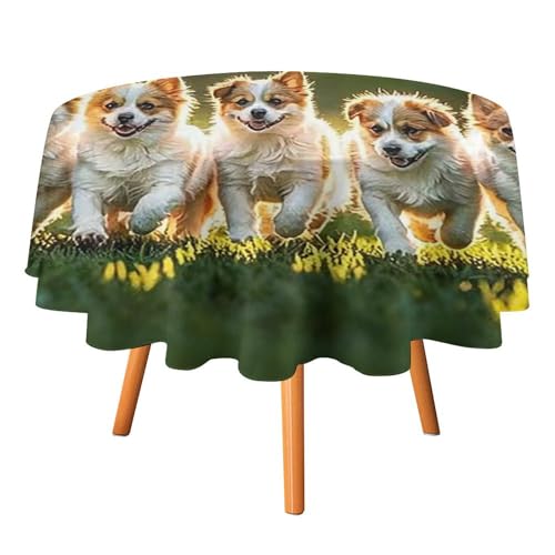 FHESDCW Happy Little Dog Tischdecke, hitzebeständig, Polyester, rund, strapazierfähig, waschbar, Tischdecke für Küche, Party, Hochzeit, Picknick, 91,4 x 91,4 cm FHESDCW Happy Little Dog Tischdecke, hitzebeständig, Polyester, rund, strapazierfähig, waschbar, Tischdecke für Küche, Party, Hochzeit, Picknick, 91,4 x 91,4 cm von FHESDCW