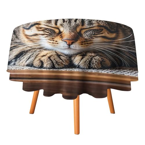 FHESDCW Katzen-Schlaftischdecke, hitzebeständig, Polyester, rund, strapazierfähig, waschbar, Tischdecke für Küche, Party, Hochzeit, Picknick, 178 x 178 cm FHESDCW Katzen-Schlaftischdecke, hitzebeständig, Polyester, rund, strapazierfähig, waschbar, Tischdecke für Küche, Party, Hochzeit, Picknick, 178 x 178 cm von FHESDCW
