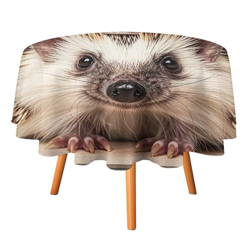 FHESDCW Kleine Kronen-Tischdecke, hitzebeständig, Polyester, rund, strapazierfähig, waschbar, Tischdecke für Küche, Party, Hochzeit, Picknick, 152,4 x 152,4 cm FHESDCW Kleine Kronen-Tischdecke, hitzebeständig, Polyester, rund, strapazierfähig, waschbar, Tischdecke für Küche, Party, Hochzeit, Picknick, 152,4 x 152,4 cm von FHESDCW