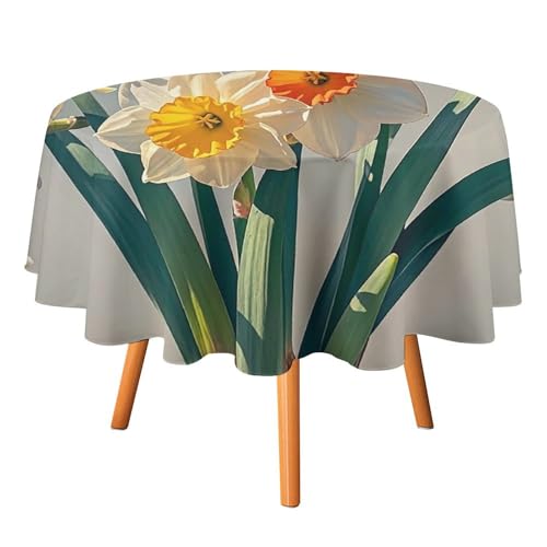 FHESDCW Narzissen-Tischdecke, hitzebeständig, Polyester, rund, strapazierfähig, waschbar, Tischdecke für Küche, Party, Hochzeit, Picknick, 152,4 x 152,4 cm FHESDCW Narzissen-Tischdecke, hitzebeständig, Polyester, rund, strapazierfähig, waschbar, Tischdecke für Küche, Party, Hochzeit, Picknick, 152,4 x 152,4 cm von FHESDCW