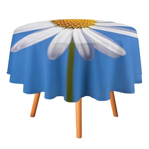 FHESDCW Spring Daisy Tischdecke, hitzebeständig, Polyester, rund, strapazierfähig, waschbar, Tischdecke für Küche, Party, Hochzeit, Picknick, 91,4 x 91,4 cm FHESDCW Spring Daisy Tischdecke, hitzebeständig, Polyester, rund, strapazierfähig, waschbar, Tischdecke für Küche, Party, Hochzeit, Picknick, 91,4 x 91,4 cm von FHESDCW