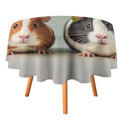 FHESDCW Süße Meerschweinchen-Tischdecke, hitzebeständig, Polyester, rund, strapazierfähig, waschbar, Tischdecke für Küche, Party, Hochzeit, Picknick, 91,4 x 91,4 cm FHESDCW Süße Meerschweinchen-Tischdecke, hitzebeständig, Polyester, rund, strapazierfähig, waschbar, Tischdecke für Küche, Party, Hochzeit, Picknick, 91,4 x 91,4 cm von FHESDCW