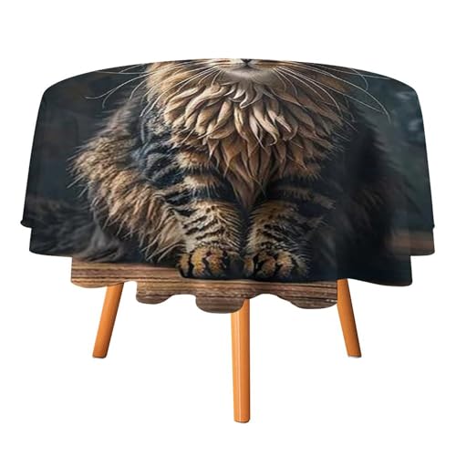 FHESDCW Süße und schöne Katzentischdecke, hitzebeständig, Polyester, runde Tischdecke, langlebig, waschbar, Tischdecke für Küche, Party, Hochzeit, Picknick, 91,4 x 91,4 cm FHESDCW Süße und schöne Katzentischdecke, hitzebeständig, Polyester, runde Tischdecke, langlebig, waschbar, Tischdecke für Küche, Party, Hochzeit, Picknick, 91,4 x 91,4 cm von FHESDCW