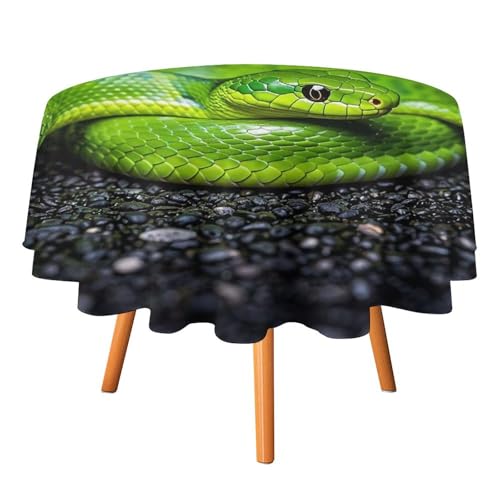FHESDCW The Green Snake Tischdecke, hitzebeständig, Polyester, rund, strapazierfähig, waschbar, Tischdecke für Küche, Party, Hochzeit, Picknick, 91,4 x 91,4 cm FHESDCW The Green Snake Tischdecke, hitzebeständig, Polyester, rund, strapazierfähig, waschbar, Tischdecke für Küche, Party, Hochzeit, Picknick, 91,4 x 91,4 cm von FHESDCW