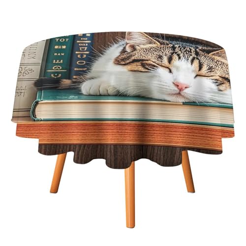 FHESDCW The Kitten Sleeps Tischdecke, hitzebeständig, Polyester, rund, strapazierfähig, waschbar, Tischdecke für Küche, Party, Hochzeit, Picknick, 91,4 x 91,4 cm FHESDCW The Kitten Sleeps Tischdecke, hitzebeständig, Polyester, rund, strapazierfähig, waschbar, Tischdecke für Küche, Party, Hochzeit, Picknick, 91,4 x 91,4 cm von FHESDCW