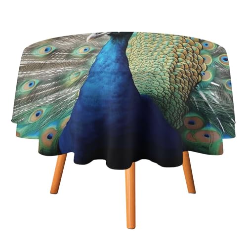 FHESDCW The Peacock Tischdecke, hitzebeständig, Polyester, rund, strapazierfähig, waschbar, Tischdecke für Küche, Party, Hochzeit, Picknick, 152,4 x 152,4 cm FHESDCW The Peacock Tischdecke, hitzebeständig, Polyester, rund, strapazierfähig, waschbar, Tischdecke für Küche, Party, Hochzeit, Picknick, 152,4 x 152,4 cm von FHESDCW