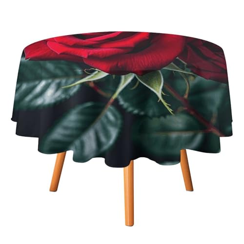 FHESDCW Tischdecke, hitzebeständig, Polyester, rund, strapazierfähig, waschbar, Tischdecke für Küche, Party, Hochzeit, Picknick, 152,4 x 152,4 cm FHESDCW Tischdecke, hitzebeständig, Polyester, rund, strapazierfähig, waschbar, Tischdecke für Küche, Party, Hochzeit, Picknick, 152,4 x 152,4 cm von FHESDCW