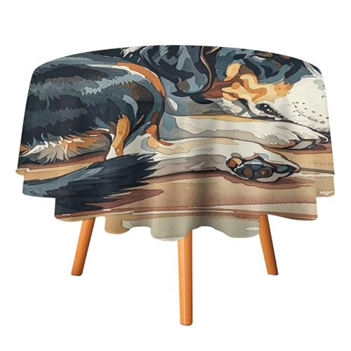 FHESDCW Tischdecke, hitzebeständig, Polyester, rund, strapazierfähig, waschbar, Tischdecke für Küche, Party, Hochzeit, Picknick, 91,4 x 91,4 cm FHESDCW Tischdecke, hitzebeständig, Polyester, rund, strapazierfähig, waschbar, Tischdecke für Küche, Party, Hochzeit, Picknick, 91,4 x 91,4 cm von FHESDCW