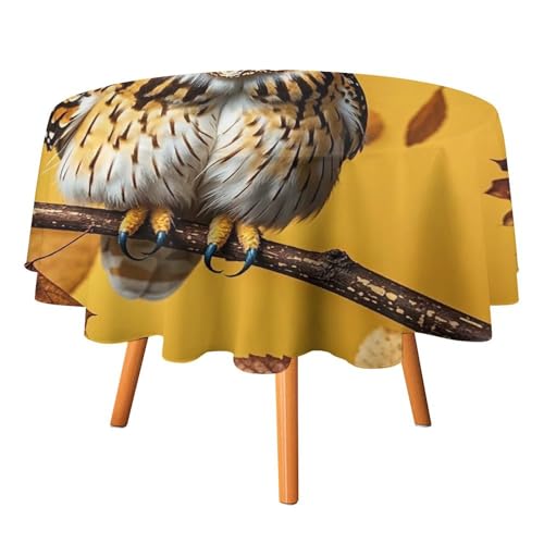 FHESDCW Tischdecke mit Eulenzweig, hitzebeständig, Polyester, rund, strapazierfähig, waschbar, Tischdecke für Küche, Party, Hochzeit, Picknick, 91,4 x 91,4 cm FHESDCW Tischdecke mit Eulenzweig, hitzebeständig, Polyester, rund, strapazierfähig, waschbar, Tischdecke für Küche, Party, Hochzeit, Picknick, 91,4 x 91,4 cm von FHESDCW