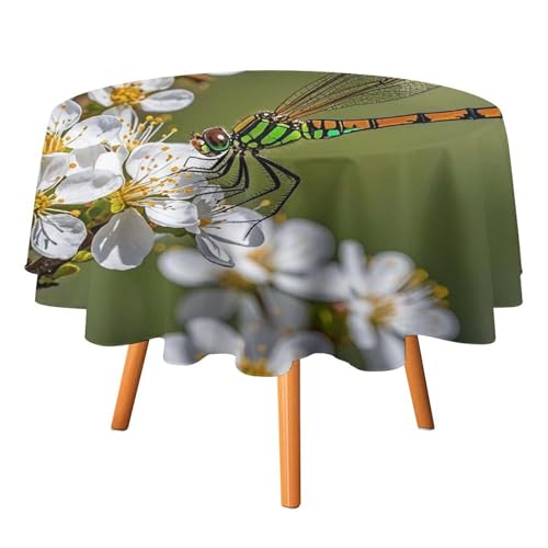 FHESDCW Tischdecke mit Libellen auf Blumen und Zweigen, hitzebeständig, Polyester, rund, strapazierfähig, waschbar, Tischdecke für Küche, Party, Hochzeit, Picknick, 178 x 178 cm FHESDCW Tischdecke mit Libellen auf Blumen und Zweigen, hitzebeständig, Polyester, rund, strapazierfähig, waschbar, Tischdecke für Küche, Party, Hochzeit, Picknick, 178 x 178 cm von FHESDCW