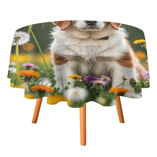 FHESDCW Tischdecke mit Welpen und Löwenzahn, hitzebeständig, Polyester, rund, strapazierfähig, waschbar, Tischdecke für Küche, Party, Hochzeit, Picknick, 178 x 178 cm FHESDCW Tischdecke mit Welpen und Löwenzahn, hitzebeständig, Polyester, rund, strapazierfähig, waschbar, Tischdecke für Küche, Party, Hochzeit, Picknick, 178 x 178 cm von FHESDCW