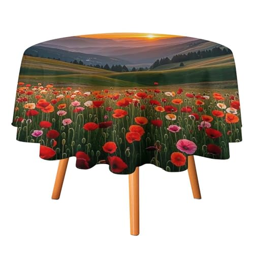 FHESDCW Tischdecke mit Wolkengarten bei Sonnenuntergang, hitzebeständig, Polyester, rund, strapazierfähig, waschbar, Tischdecke für Küche, Party, Hochzeit, Picknick, 91,4 x 91,4 cm FHESDCW Tischdecke mit Wolkengarten bei Sonnenuntergang, hitzebeständig, Polyester, rund, strapazierfähig, waschbar, Tischdecke für Küche, Party, Hochzeit, Picknick, 91,4 x 91,4 cm von FHESDCW