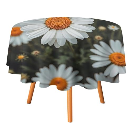 FHESDCW Tischdecke mit böhmischem Gänseblümchen-Abzeichen, hitzebeständig, Polyester, rund, strapazierfähig, waschbar, Tischdecke für Küche, Party, Hochzeit, Picknick, 127 x 127 cm FHESDCW Tischdecke mit böhmischem Gänseblümchen-Abzeichen, hitzebeständig, Polyester, rund, strapazierfähig, waschbar, Tischdecke für Küche, Party, Hochzeit, Picknick, 127 x 127 cm von FHESDCW