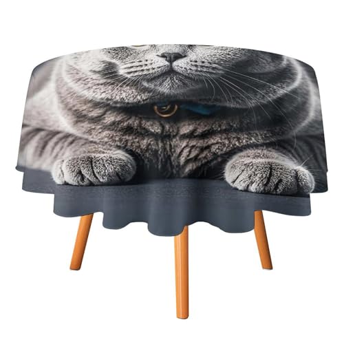 FHESDCW Tischdecke mit grauer Katze liegend, hitzebeständig, Polyester, rund, strapazierfähig, waschbar, Tischdecke für Küche, Party, Hochzeit, Picknick, 152,4 x 152,4 cm FHESDCW Tischdecke mit grauer Katze liegend, hitzebeständig, Polyester, rund, strapazierfähig, waschbar, Tischdecke für Küche, Party, Hochzeit, Picknick, 152,4 x 152,4 cm von FHESDCW